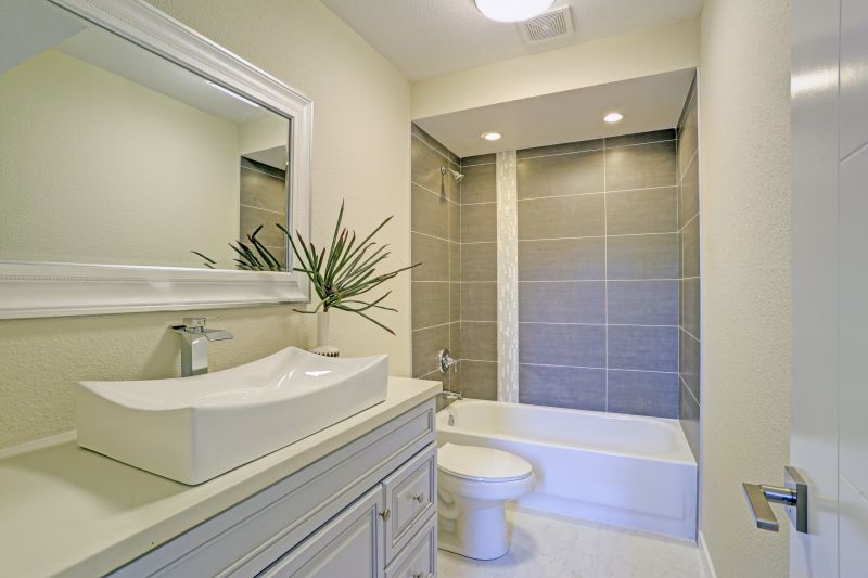 Elderly Bathroom Renovation detail